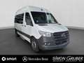 Mercedes-Benz Sprinter 317 Tourer hoch Standard Rollstuhl Lift Weiß - thumbnail 3
