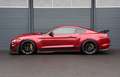 Ford Mustang 5.0 GT/Shelby/BREMBO/SHZ/SBL/KAMERA/R20 Rouge - thumbnail 4