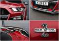 Ford Mustang 5.0 GT/Shelby/BREMBO/SHZ/SBL/KAMERA/R20 Rouge - thumbnail 8