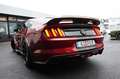 Ford Mustang 5.0 GT/Shelby/BREMBO/SHZ/SBL/KAMERA/R20 Rouge - thumbnail 5