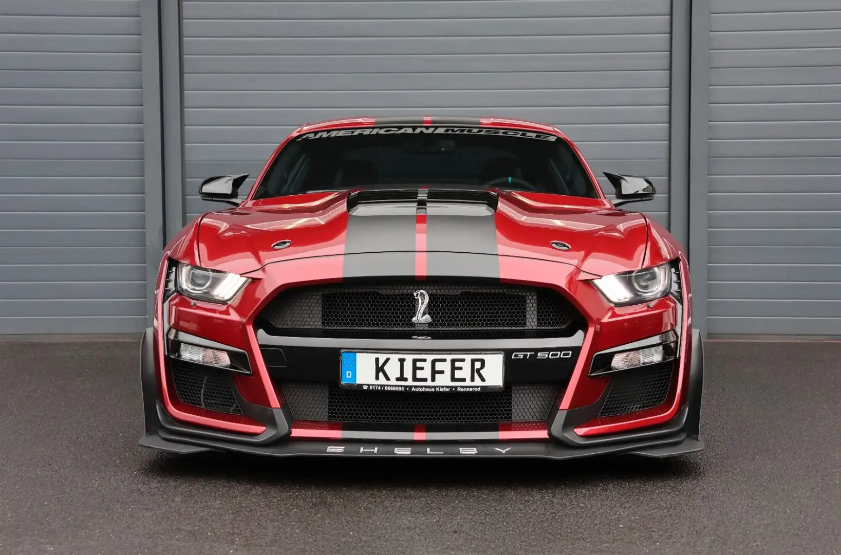 Ford Mustang 5.0 GT/Shelby/BREMBO/SHZ/SBL/KAMERA/R20 Rouge - 2