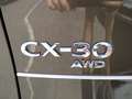 Mazda CX-30 G122 COM+ AWD AUT Grau - thumbnail 6