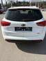 Kia Ceed SW / cee'd SW 1,6 CRDi Österreich Edition - thumbnail 7