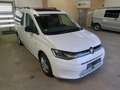 Volkswagen Caddy Maxi 2.0 TDI Move AHK Pano S-Dach ACC LED Weiß - thumbnail 6