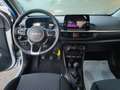 Kia Picanto Picanto 1.0 GDi 5 p KM0 Argento - thumbnail 13