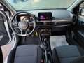 Kia Picanto Picanto 1.0 GDi 5 p KM0 Argento - thumbnail 12