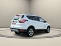 Ford Kuga Trend Weiß - thumbnail 7