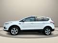Ford Kuga Trend Weiß - thumbnail 4