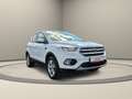 Ford Kuga Trend Weiß - thumbnail 3