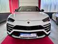 Lamborghini Urus Panorama Garantie B&O 360° ACC Hud Massage Blanc - thumbnail 4