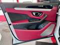 Lamborghini Urus Panorama Garantie B&O 360° ACC Hud Massage Blanc - thumbnail 18