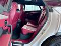Lamborghini Urus Panorama Garantie B&O 360° ACC Hud Massage Blanc - thumbnail 22