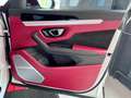 Lamborghini Urus Panorama Garantie B&O 360° ACC Hud Massage Blanc - thumbnail 21