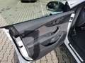 Audi Q8 50TDI quattro 2xS line AHK HD-MATRIX PANO HUD White - thumbnail 14