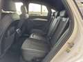 Audi Q5 Sportback 40 TDI quattro-ultra Black line S tronic Weiß - thumbnail 6