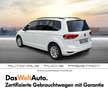 Volkswagen Touran Sky TDI SCR DSG 5-Sitzer Bianco - thumbnail 14