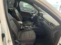 Ford Kuga 1.5 EcoBlue ST-Line FWD 120 Aut. Blanc - thumbnail 19