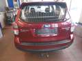 Subaru Forester 2.0D Exclusive Lineartronic, AHK,Euro6 Rouge - thumbnail 5