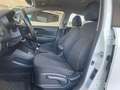 Kia Rio Rio 5p 1.2 EX Bianco - thumbnail 14