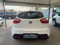 Kia Rio Rio 5p 1.2 EX Bianco - thumbnail 7