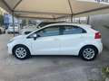 Kia Rio Rio 5p 1.2 EX Bianco - thumbnail 4
