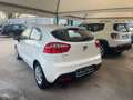Kia Rio Rio 5p 1.2 EX Bianco - thumbnail 6