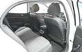 Renault Megane 1.5dCi Blue Life 85kW Blanco - thumbnail 39