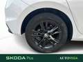 Skoda Fabia 1.0 mpi evo style 80cv Bianco - thumbnail 15