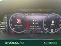 Skoda Fabia 1.0 mpi evo style 80cv Bianco - thumbnail 12