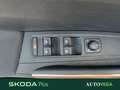 Skoda Fabia 1.0 mpi evo style 80cv Bianco - thumbnail 13
