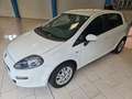 Fiat Punto Lounge *UNICO PROPRIETARIO* Bianco - thumbnail 3