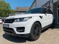 Land Rover Range Rover Sport HSE Dynamic Weiß - thumbnail 14