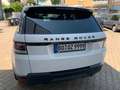 Land Rover Range Rover Sport HSE Dynamic Weiß - thumbnail 5