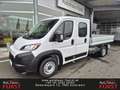 Toyota Proace Max Max D140PS Prit Doka Work L3 35H MT *AKTION* Weiß - thumbnail 1