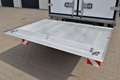 Mercedes-Benz Sprinter 519 CDI 5.5T SOFORT Carrier-20/LBW 2 Stk. Weiß - thumbnail 35