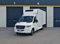 Mercedes-Benz Sprinter 519 CDI 5.5T SOFORT Carrier-20/LBW 2 Stk. Weiß - thumbnail 7