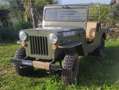 Jeep Willys Verde - thumbnail 11