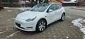 Tesla Model Y Long Range Dual AWD 8fach SAPPB Blanc - thumbnail 1