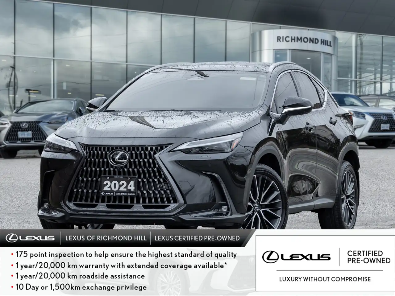 2024 Lexus NX снимка 2024 Lexus NX