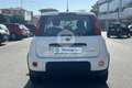Fiat New Panda Panda 1.0 FireFly S&S Hybrid Bianco - thumbnail 6