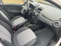 Fiat Punto 1.3 MJT II S&S 95 CV 5 porte Lounge Blanc - thumbnail 13