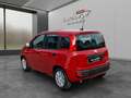 Fiat Sonstige Pandina FireFly Hybrid 65 Icon Rot - thumbnail 5