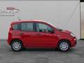 Fiat Sonstige Pandina FireFly Hybrid 65 Icon Rot - thumbnail 4