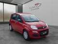 Fiat Sonstige Pandina FireFly Hybrid 65 Icon Rot - thumbnail 2