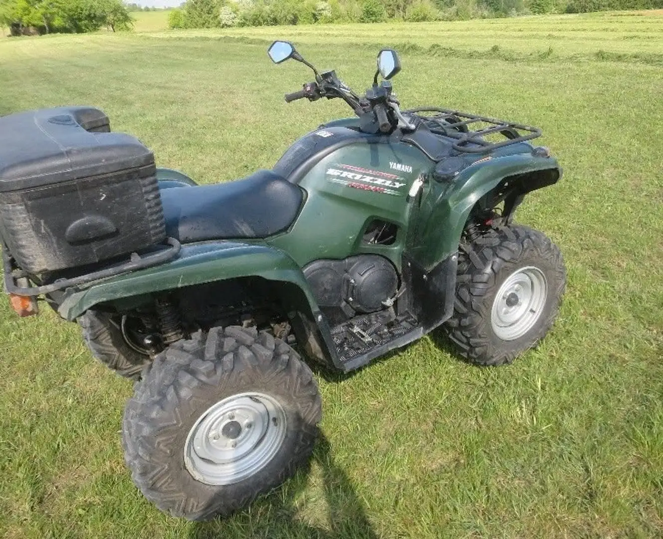 Yamaha Grizzly 550 Yamaha Grizzly 550 ATV Schwarz - 2
