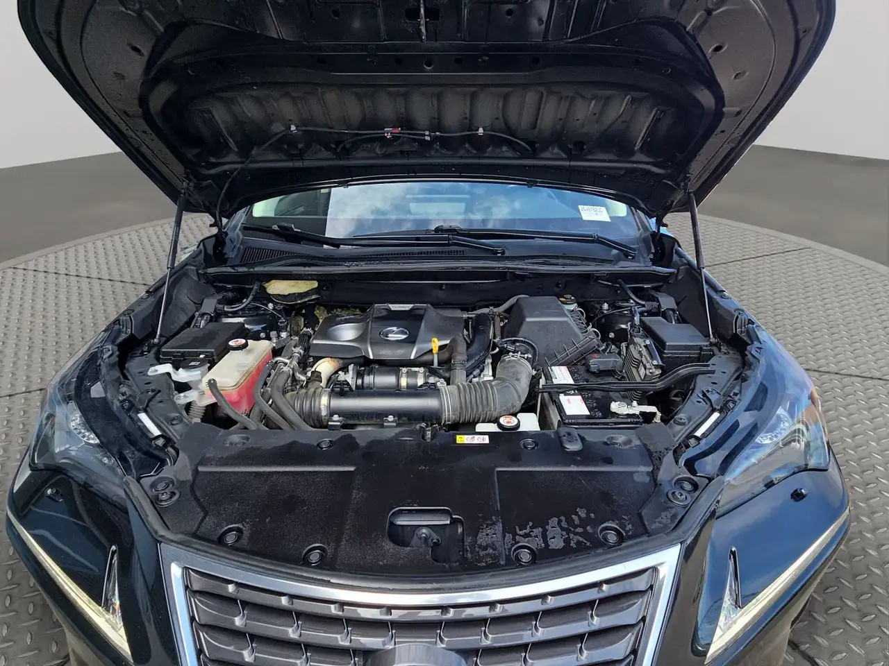 Lexus NX fotografie Lexus NX