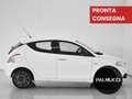 Lancia Ypsilon Ypsilon 1.2 69 CV 5 porte Gold - thumbnail 4