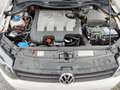 Volkswagen Polo 1.6TDI Sport 105 Blanco - thumbnail 16