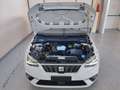 SEAT Ibiza 1.0 mpi Xcellence 80cv Weiß - thumbnail 28