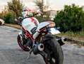 Ducati Monster 600 Blanco - thumbnail 2